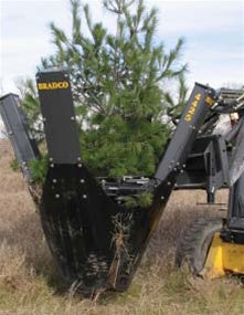 Paladin Tree Spade for Skid Steer