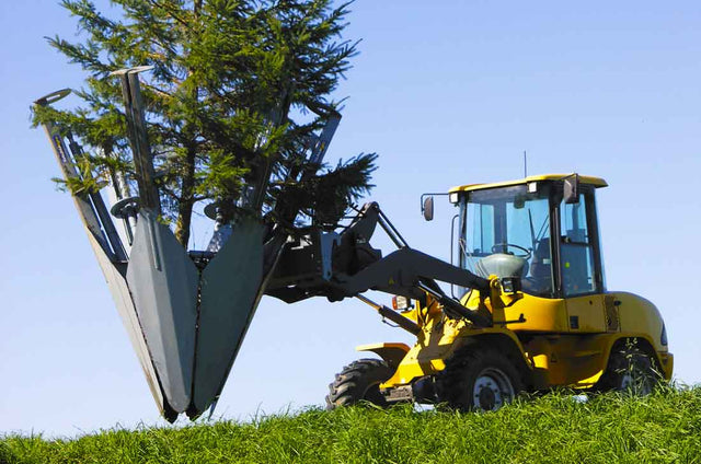 Baumalight | ST650 Tree Spade For Skid Steer
