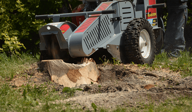 Baumalight WB44 Walk Behind Stump Grinder (13HP)