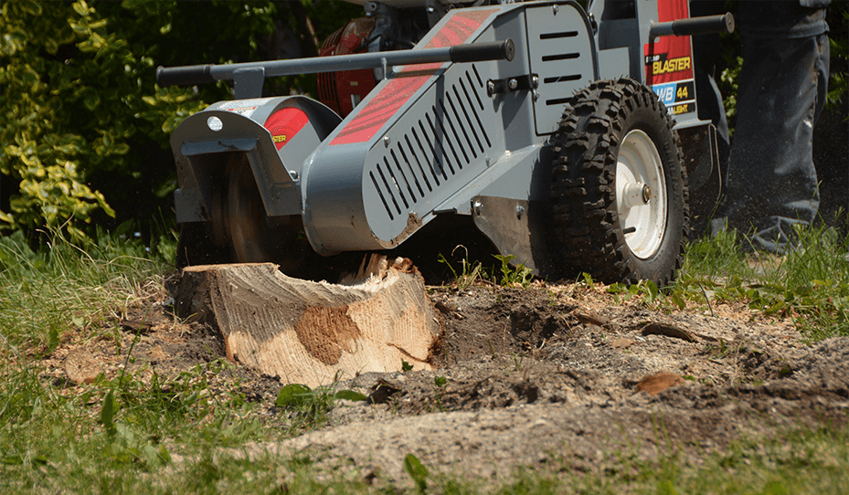 Baumalight WB44 Stump Grinder Walk Behind 13HP