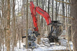 Baumalight Feller Buncher Tree Saw For Excavator