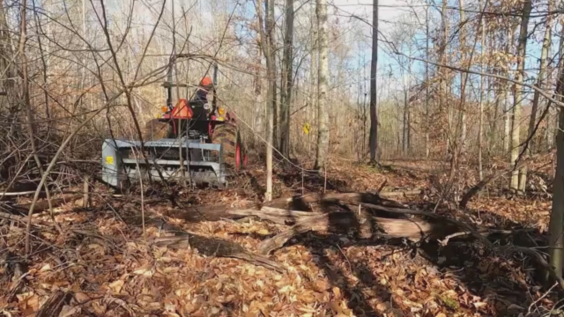 Baumalight MP360 Brush Mulcher