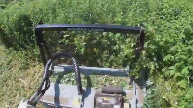 Baumalight | MS560 Fixed Tooth Brush Mulcher For Skid Steers