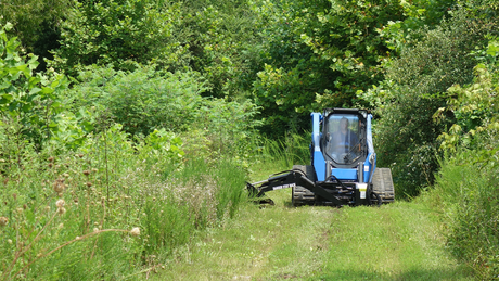 BLUE DIAMOND Swing Arm Brush Cutter for Skid Steer