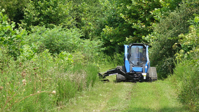 BLUE DIAMOND Swing Arm Brush Cutter for Skid Steer